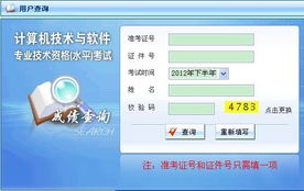 2012年下半年兵團(tuán)軟件水平考試系統(tǒng)集成項(xiàng)目管理工程師成績(jī)查詢指南